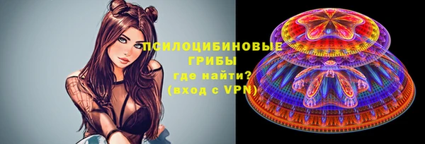 гидра Алексин